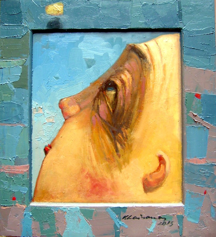 OLYMPUS DIGITAL CAMERA